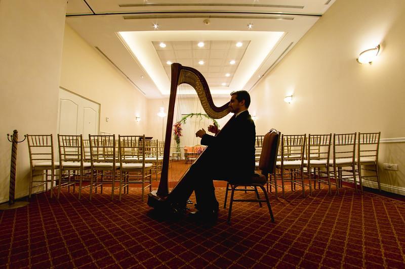 Safi Royal Luxury Valle San Pedro Garza Garcia Eksteriør billede A harpist playing at a wedding